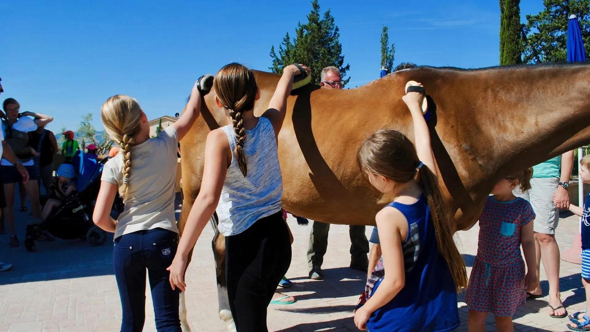 Alloggio per agriturismo Agriturismo Pelagaccio Peccioli