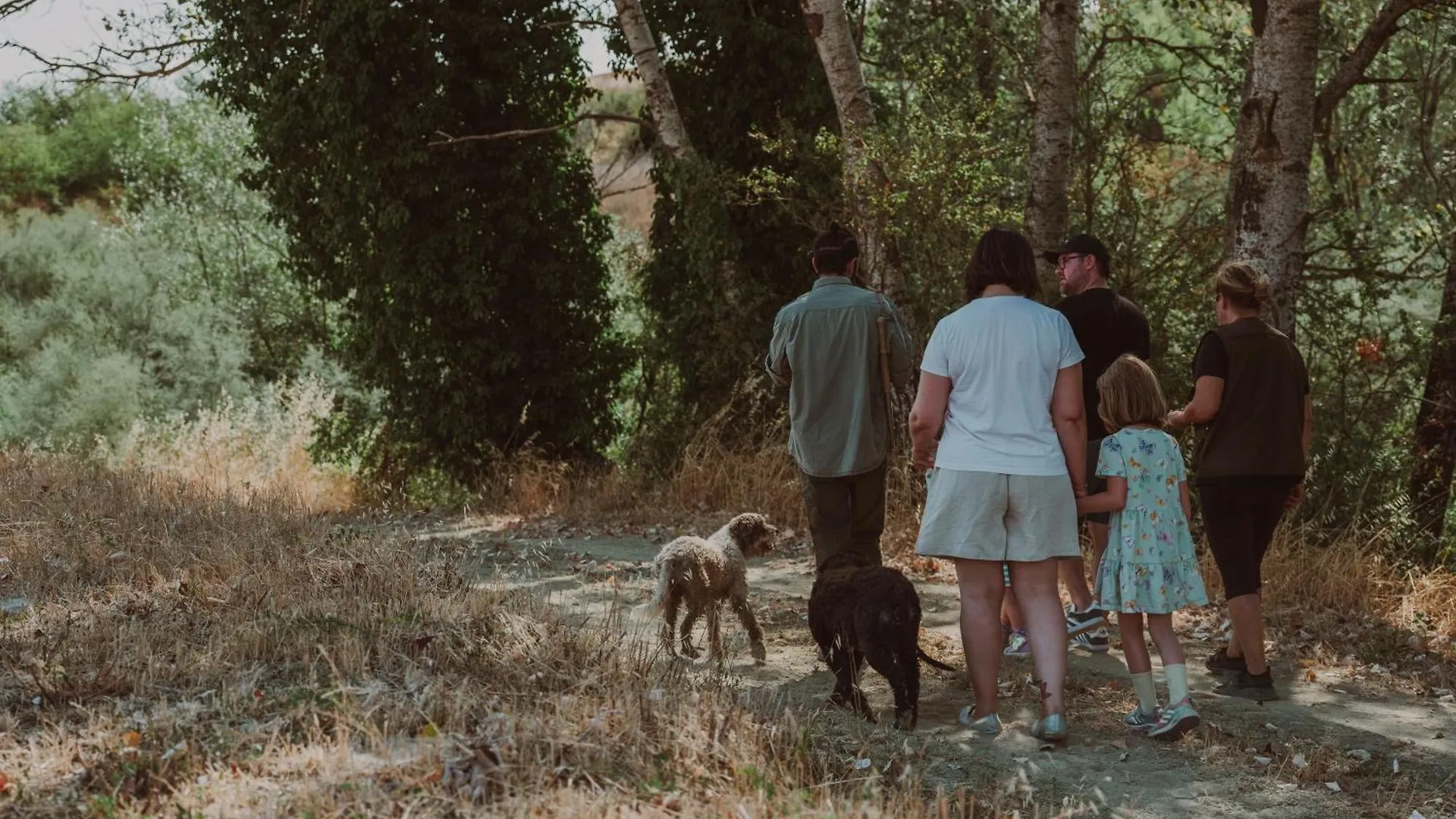 Agriturismo Pelagaccio Peccioli Alloggio per agriturismo
